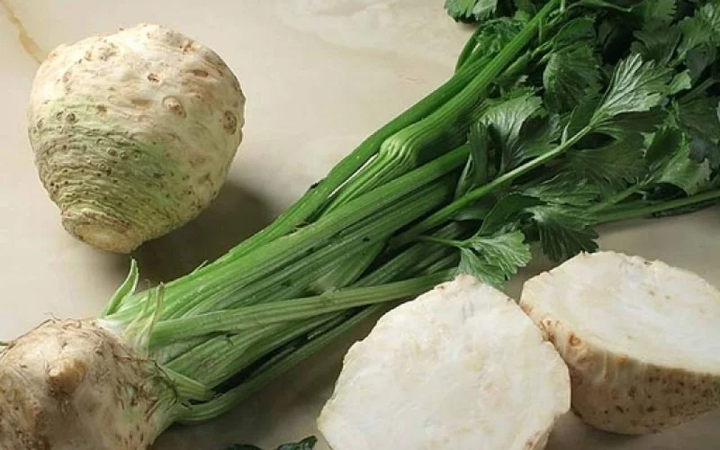 Pravi Celer: Your Daily Diet for Maximum Health