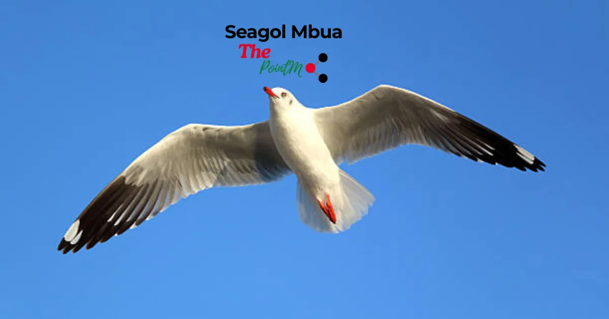 seagol mbua