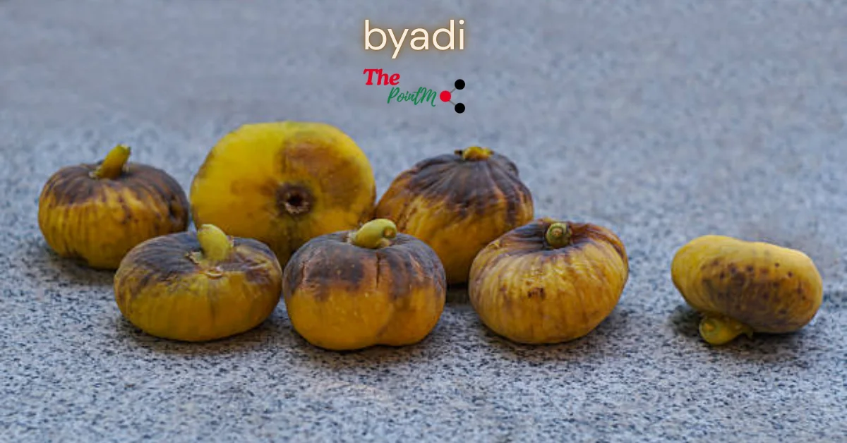 byadi